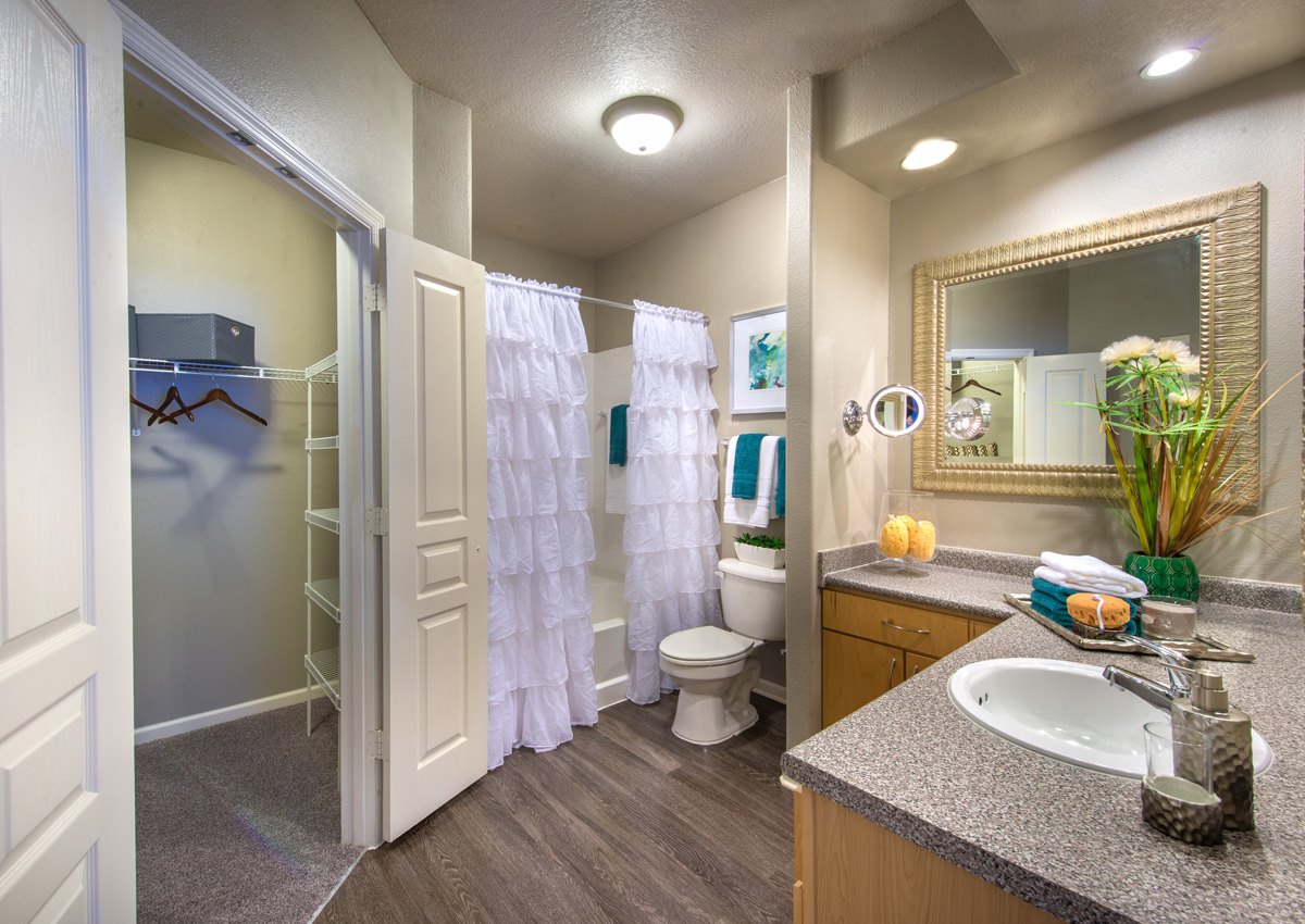 unique-bathroom-layout-jacksonville-florida